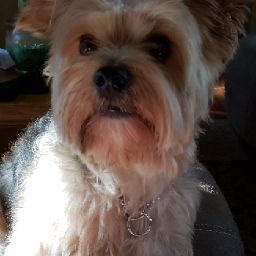 Tammy Stephenson Photo 29