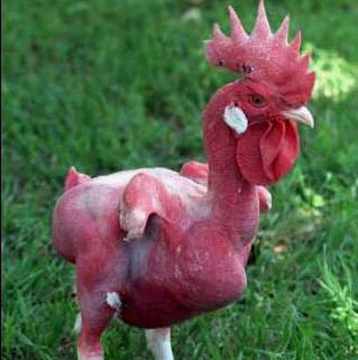 Michael Sykes Photo 19