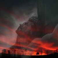 Frank Rogers Photo 15