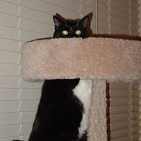 Winifred Gilmore Photo 2