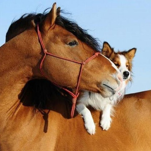 Ellie Alexander Photo 6