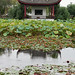 Li Yuan Photo 15