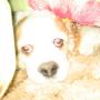 Kimberly Goodman Photo 30