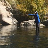 Martin Pepper Photo 34 Martin Pepper Photo 34