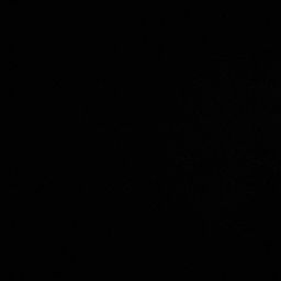 Marc Pedersen Photo 9