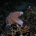 Cathy Cheung Photo 17