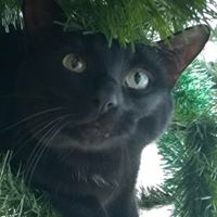 Susan Bunker Photo 11