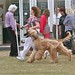 Debbie Sanderson Photo 38
