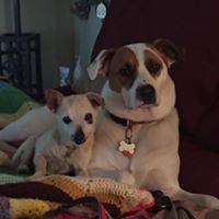 Stacey Spicer Photo 15