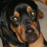 Jeannine Williams Photo 16