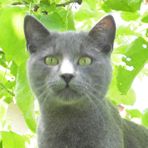 Robert Kerper Photo 15