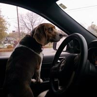 Michelle Rosenbaum Photo 14