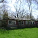 Perry Brown Photo 36