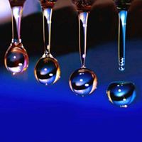 Debra Leach Photo 13