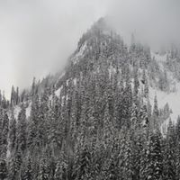 Jan Sinclair Photo 9