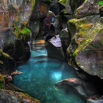 Robin Packer Photo 7