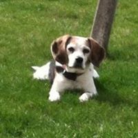 Debra Boylan Photo 4