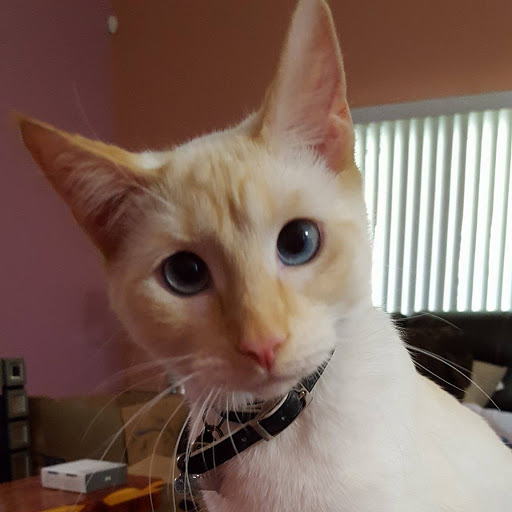 Susie Barnes Photo 1