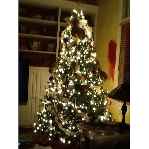 Cindy Arnett Photo 4