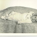 Michael Schell Photo 46
