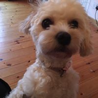 Jennifer Shanley Photo 24