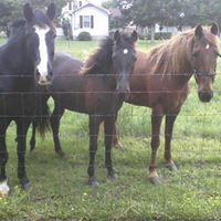 Regina Nutt Photo 3