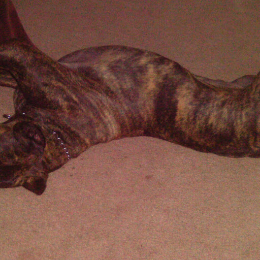 Joseph Womack Photo 17