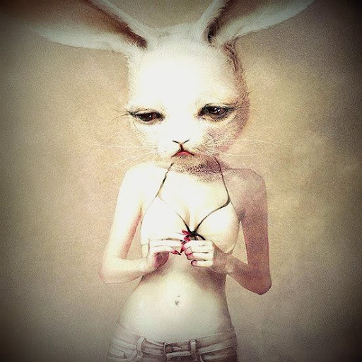 Alice Stark Photo 10