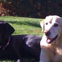 Julie Nygaard Photo 27