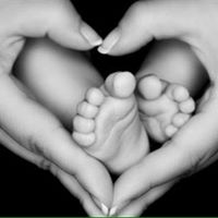 Sara Fortier Photo 8