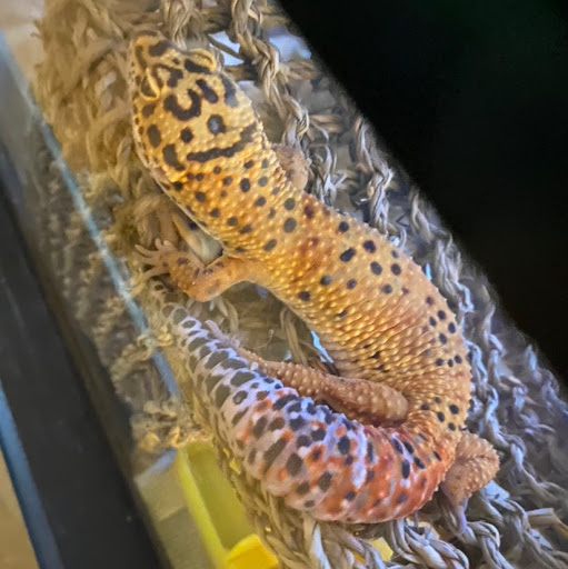 Rosalie Jones Photo 34