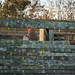 Joe Wilburn Photo 9