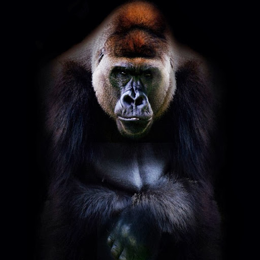 Dan Jenkins Photo 32 Dan Jenkins Photo 32