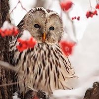 Christine Dowd Photo 25