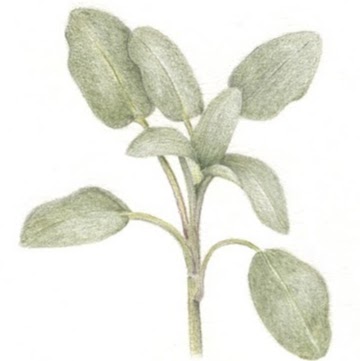 Adrianne Bell Photo 8