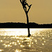 Jose Amador Photo 32