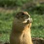 Timothy Conklin Photo 24