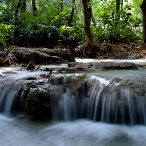 Michael Rafter Photo 34