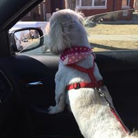 Constance Kennedy Photo 15