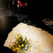 Joyce Humes Photo 21