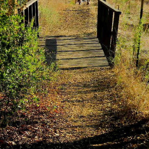 Elizabeth Quezada Photo 5