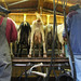Teresa Milks Photo 10