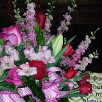 Crystal Hernandez Photo 39 Crystal Hernandez Photo 39