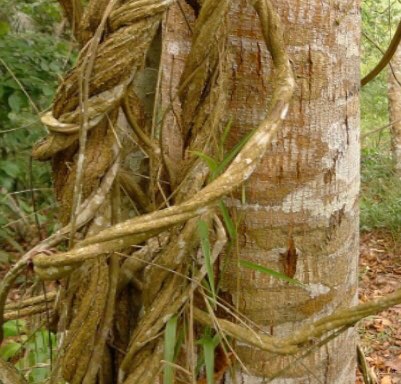 Gary Walters Photo 16