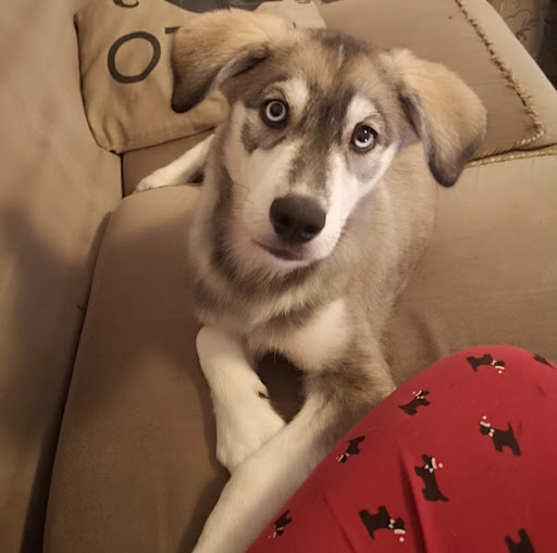 Vickie Sargent Photo 6