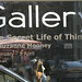 Suzanne Mooney Photo 19