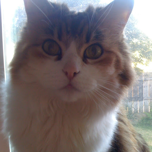 Julie Miranda Photo 20