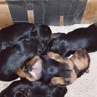 Joann Garland Photo 5