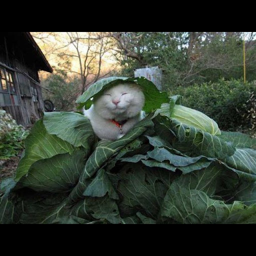 Michelle Hutter Photo 6