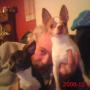 Cheryl Harmon Photo 8